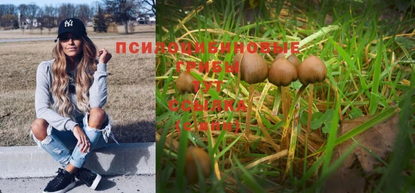 ALPHA-PVP Богданович