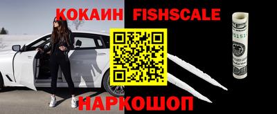 крисы Будённовск