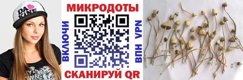 мега вход  Городец  Псилоцибиновые грибы мицелий  цены наркотик 