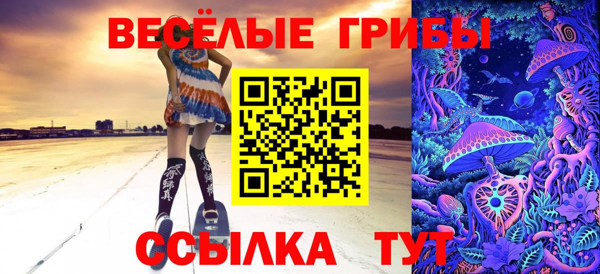 Псилоцибиновые грибы MAGIC MUSHROOMS Городец