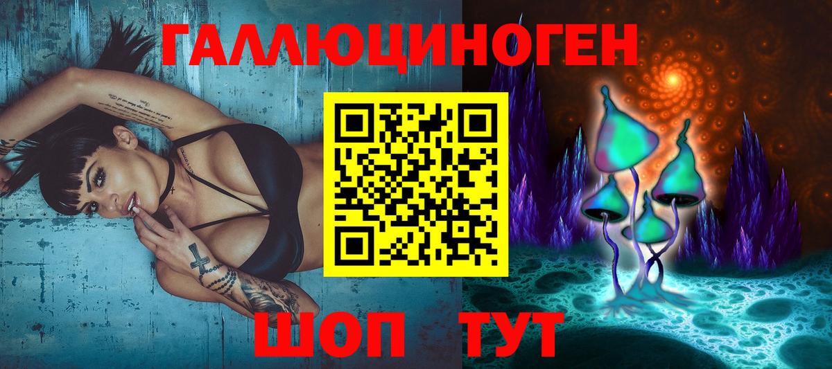 Псилоцибиновые грибы GOLDEN TEACHER  Галлюциногенные грибы Psilocybine cubensis  Городец 