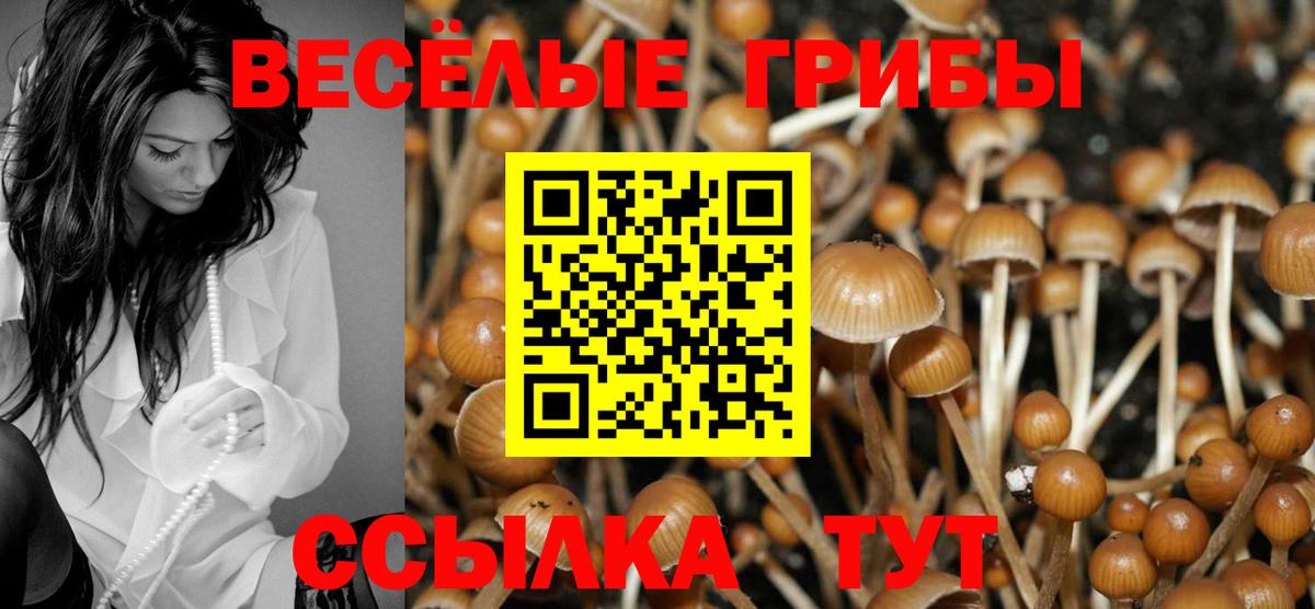 Галлюциногенные грибы прущие грибы  Вход с VPN  дарнет шоп  Городец  Псилоцибиновые грибы GOLDEN TEACHER 