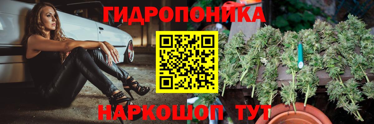 Городец  Конопля MAZAR  МАРИХУАНА сатива  Каннабис план  Вход с VPN 